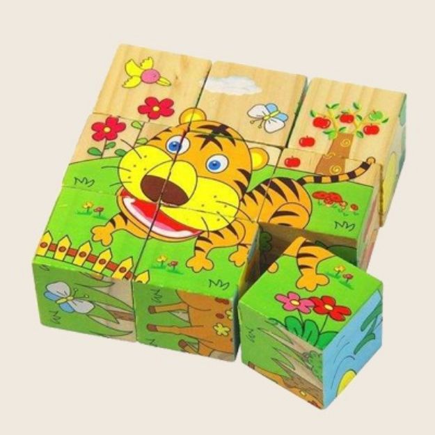 Picture of Nine Blocks Six Side Cube Puzzle