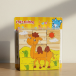 Picture of Nine Blocks Six Side Cube Puzzle