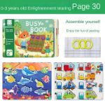 Picture of Busy Book